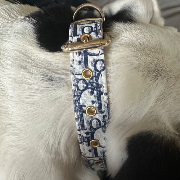 Faux Paux Fashion Dog Collar - Picture 5 of 6